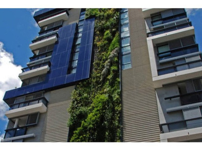 Dikey Bahçe Sistemleri ve Canlı Yeşil Duvar Uygulamaları (Living Wall)