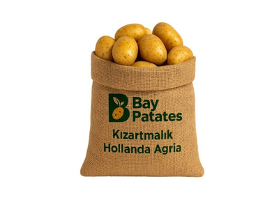 2026 Eylül Hasat Hollanda Agria - Kızartmalık Patates