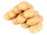 10 KG Kızartmalık Patates (Afyon Agria)