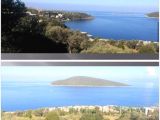 MUĞLA BODRUM TÜRBÜKÜ SATILIK ZEYTINLIK DENIZ  80 METRE FULL DENIZ MANZARALI