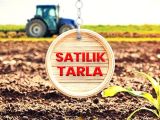 Kaaraman, Yollarbaşında Satılık Su ve Elektrikli Fırsat Tarla