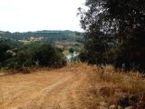 Sıra köy muhat köprü Mevkiinde Taç Yıldızbakan Emlaktan Satılık