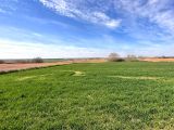 Kırklareli Babaeski YeniMahalle Satılık Hisseli Parsel 452 m2